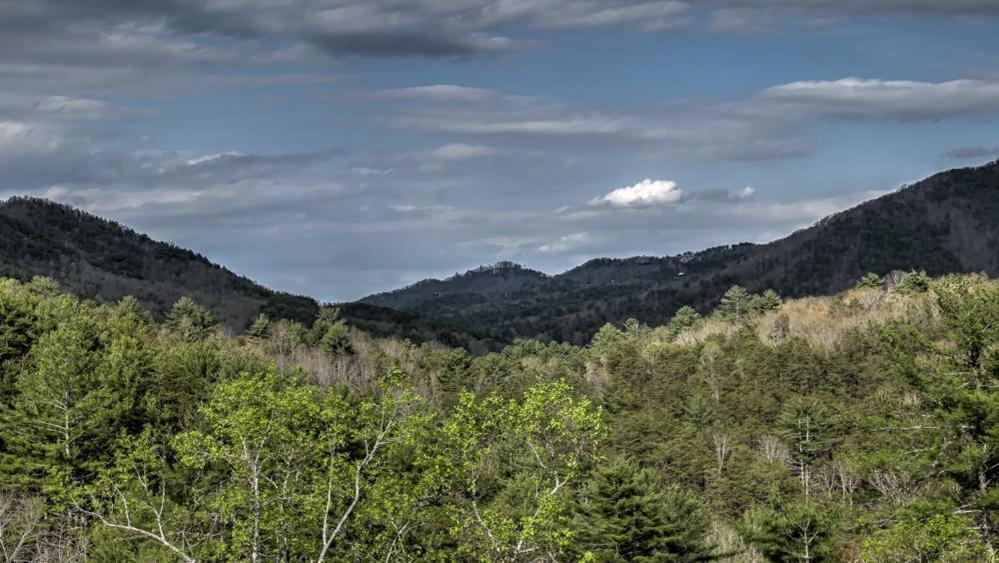 Honey Bear Lodge Blue Ridge Zewnętrze zdjęcie